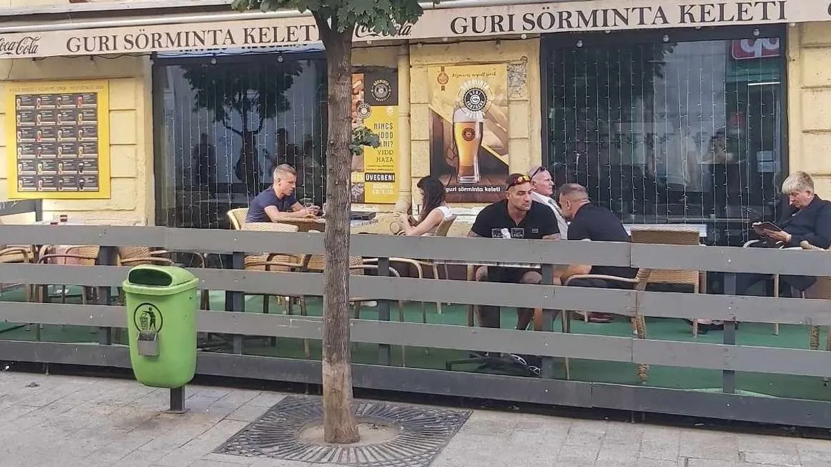 Nyár óta nem vesz rész Magyar Péter EP-ülésen