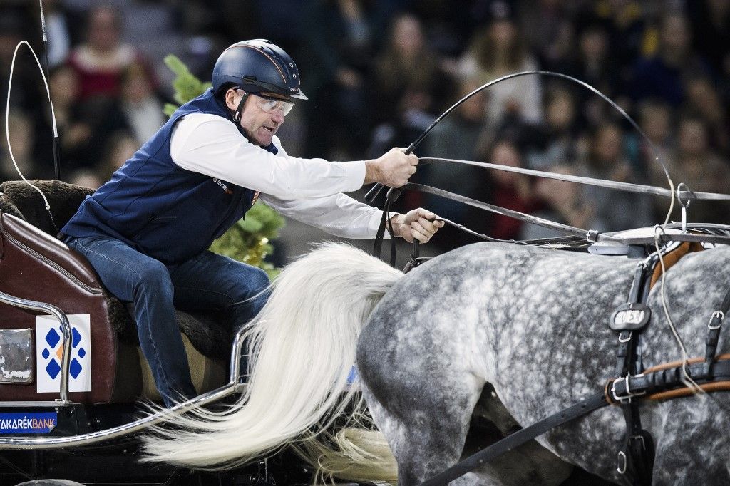 STOCKHOLM INTERNATIONAL HORSE SHOW 2021, Dobrovitz József