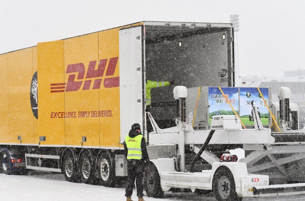 A hím Pyry és a nőstény Lumi  2018. január 18-án érkeztek a finnországi vantaa Helsinki-Vantaa repülőtérre