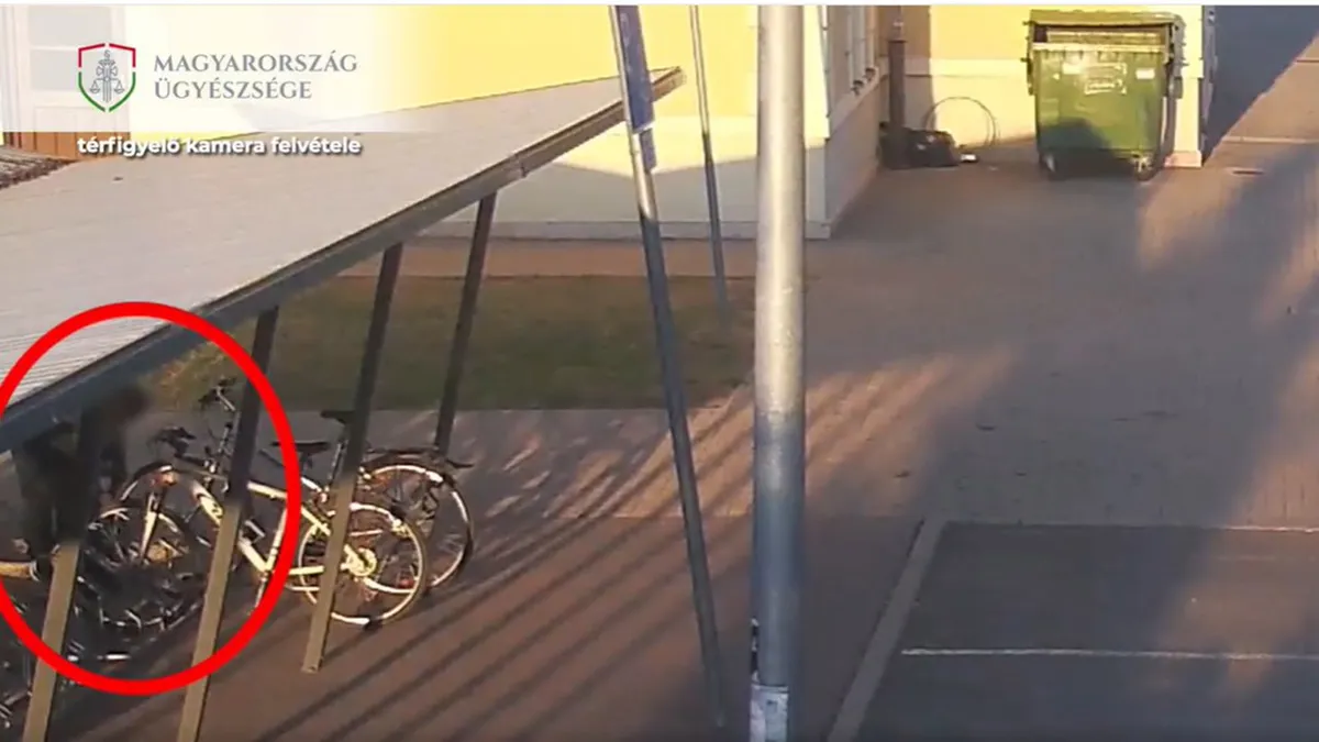 Egyenesen a rendőrök karjaiba tekert a tolvaj, akit kamerán figyeltek meg Solymáron - videó
