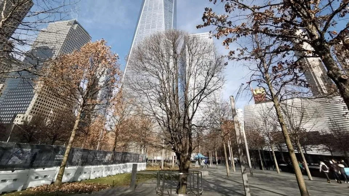 Survivor Tree a 9/11-et túlélő fa