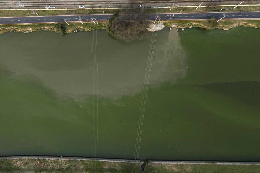 Green waters of the Pinheiros River. Algae blooms choke aquatic life.