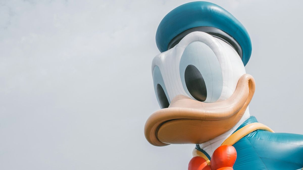 disney donald kacsa