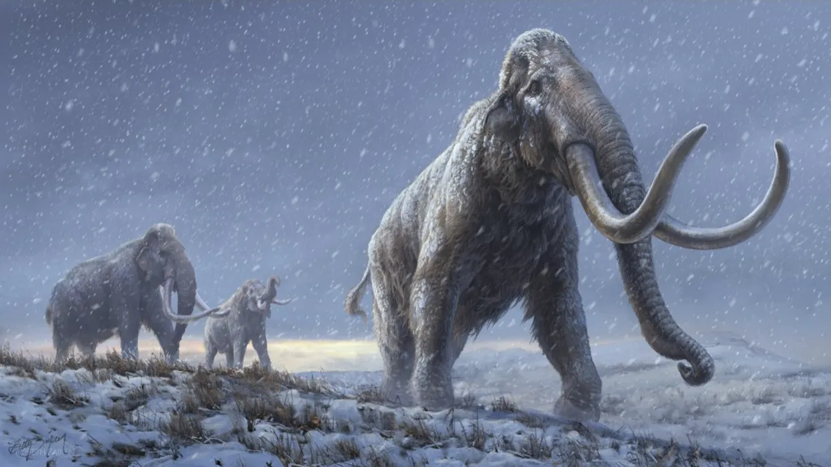 A mamut kihalása: hihetetlen okból tűnt el a legendás állat