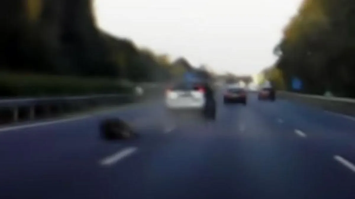 Vaddisznó jutott be az M7-esre, egyenesen nekirohant egy autónak - videó