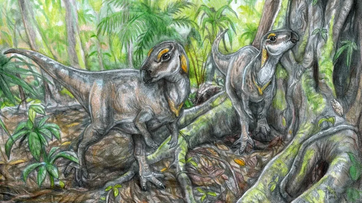 Új dinoszauruszmaradványok Erdélyben