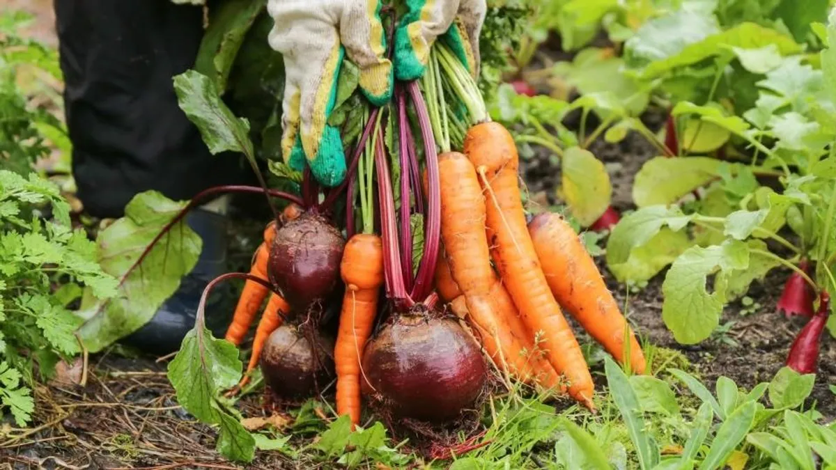 Egészséges táplálkozás az őszi-téli hónapokban