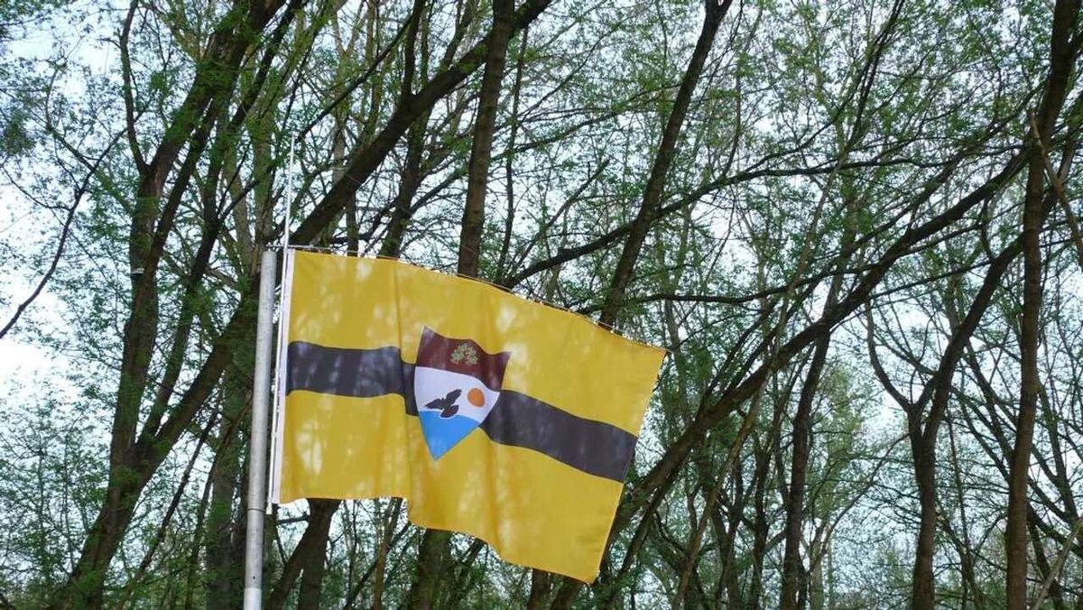 Liberland, zászló