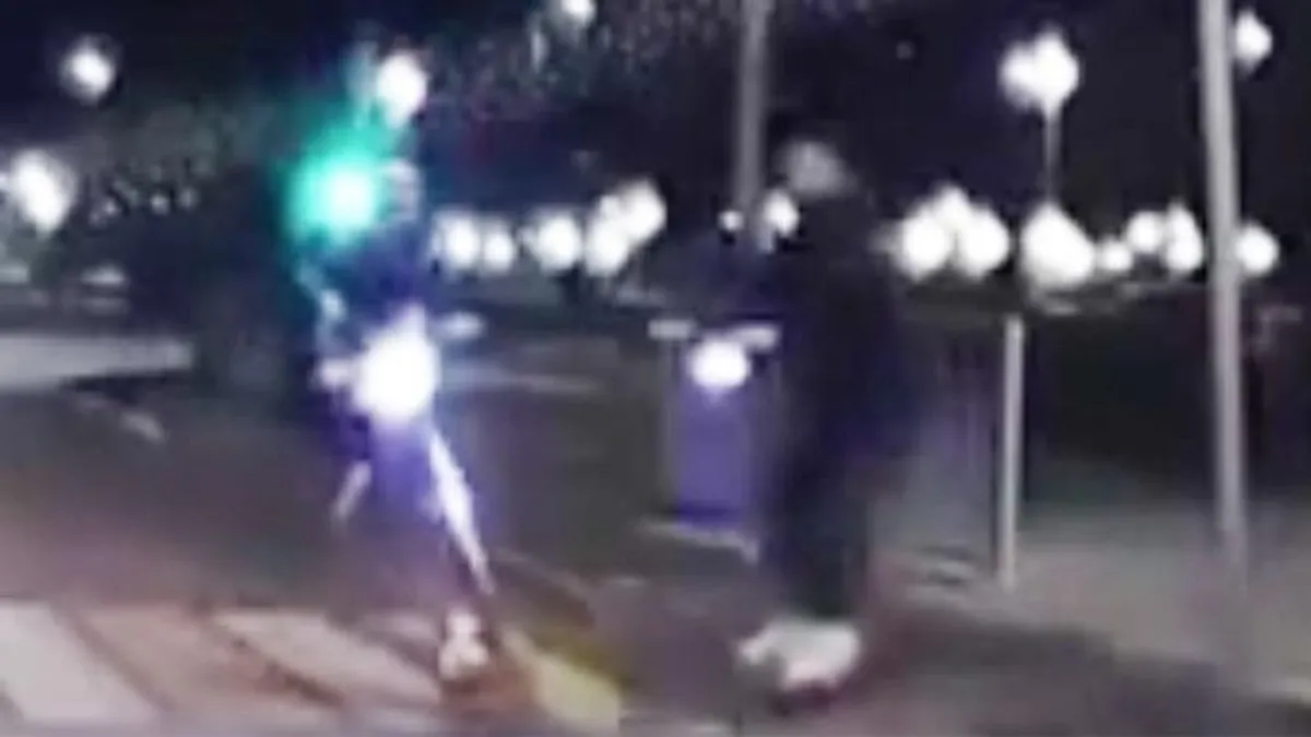 Két vakegér rollerezett ész nélkül az éjszakában, ügyesen megtalálták egymást - videó