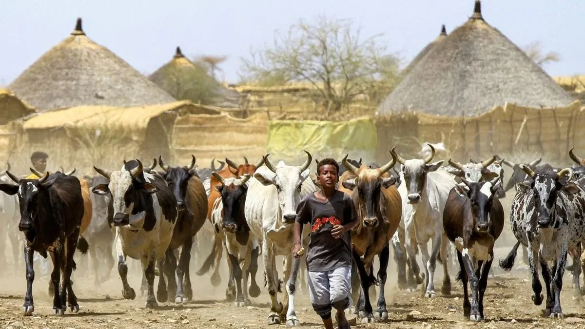 Magyarország hatalmas területet kaphatott volna Afrikában – ORIGO