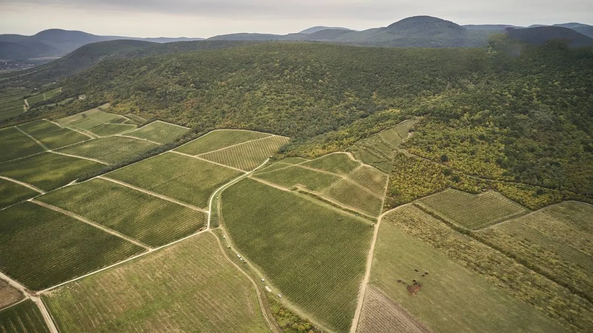 Ismét Tokaj Wine Congress Tokaj-Hegyalján