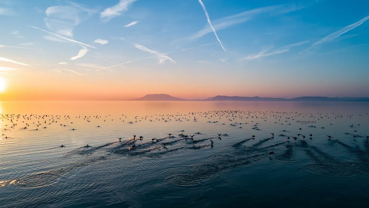 Látogassuk el a Balatonhoz az év minden napján!