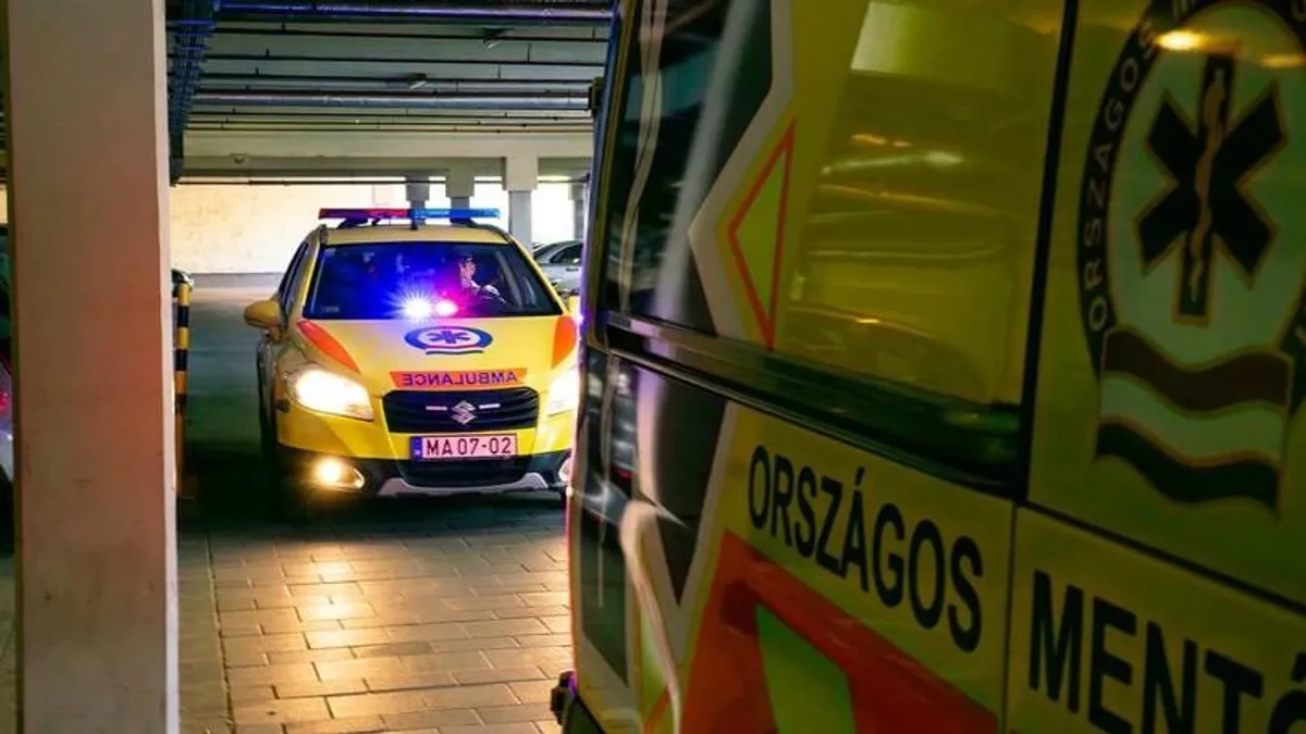 Járókelők mentették meg egy idős nő életét Tatabányán