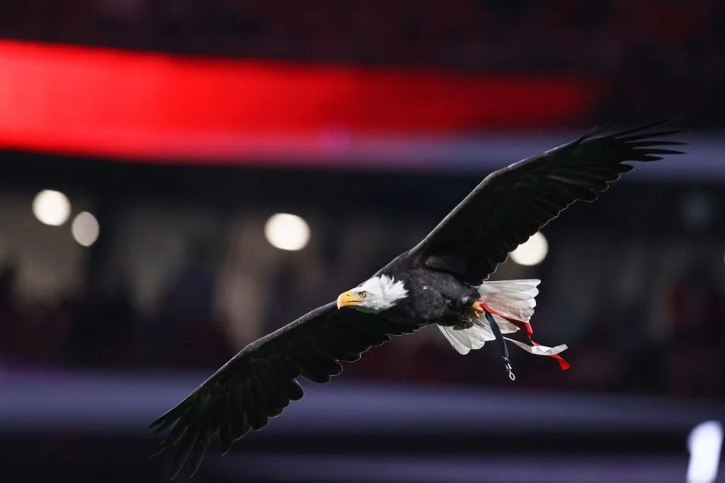 Benfica