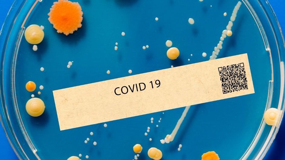 Covid-19 viral respiratory illness