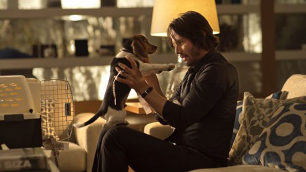 John Wick, JohnWick2014, Eva Longoria,  EvaLongoria