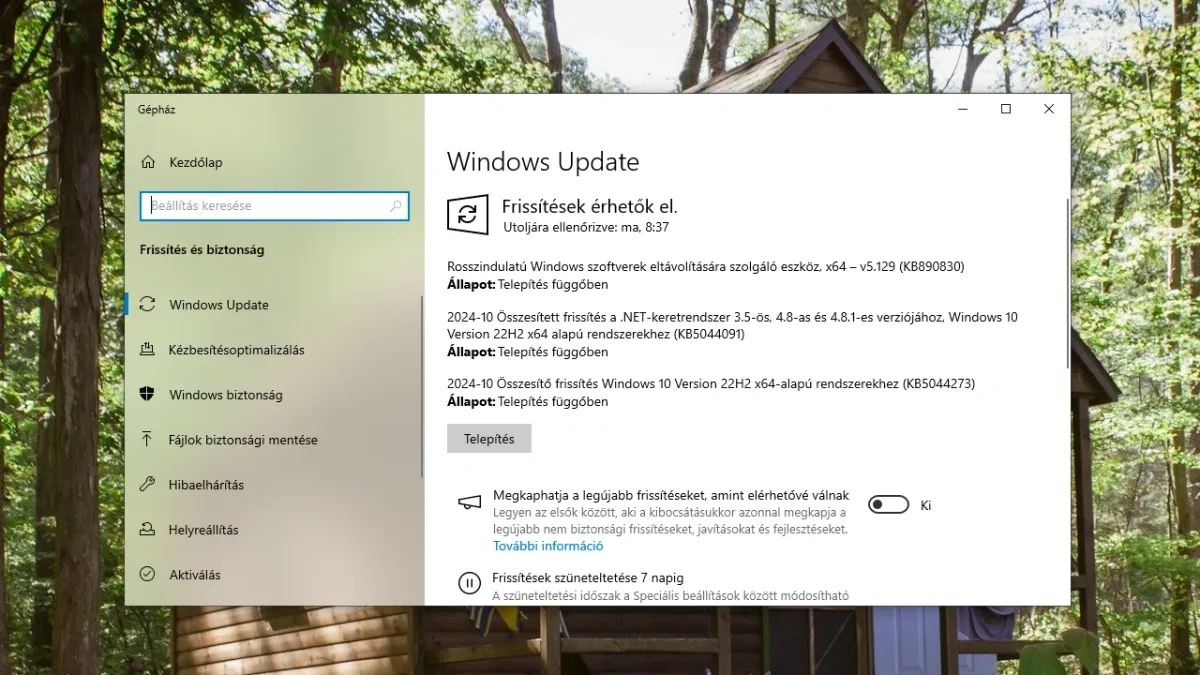 windows update