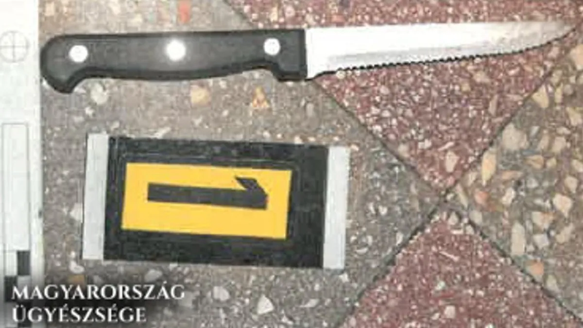 Betört ismerőséhez két nő, majd késsel rabolták ki