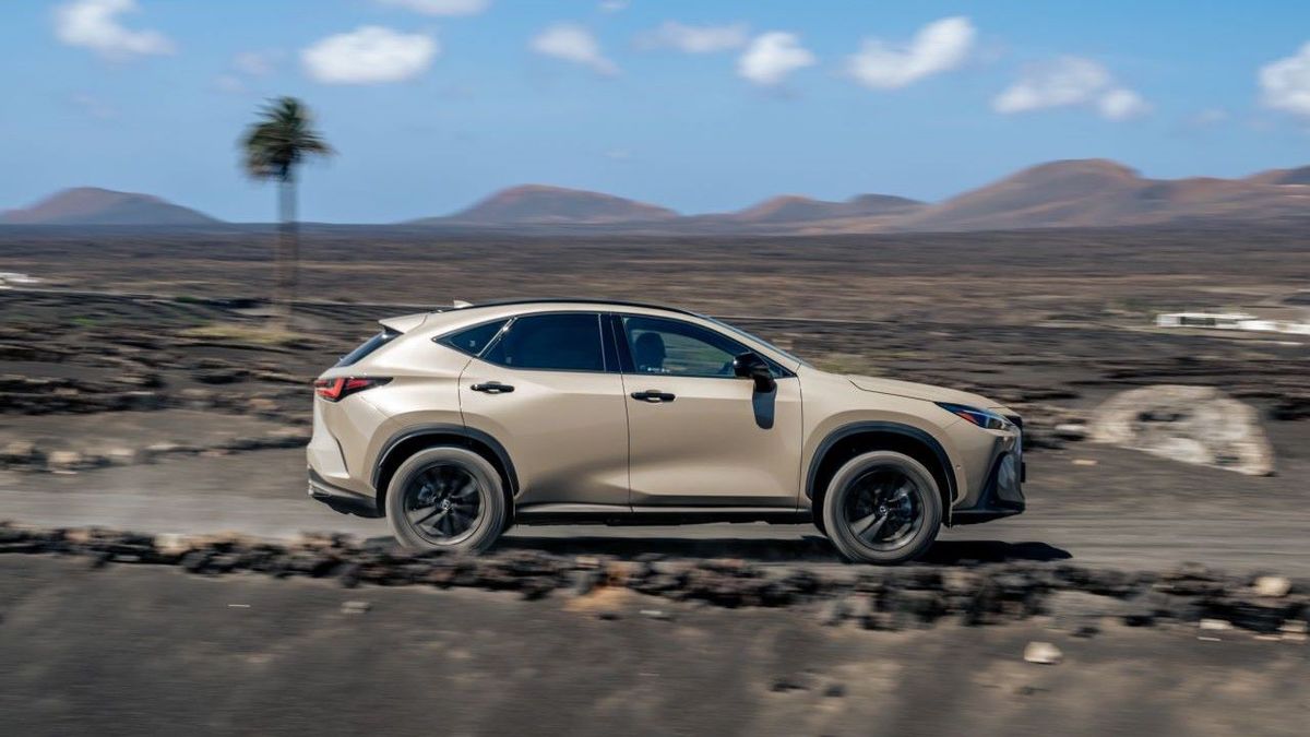 Lexus NX Overtrail bemutató, LexusNXOvertrail