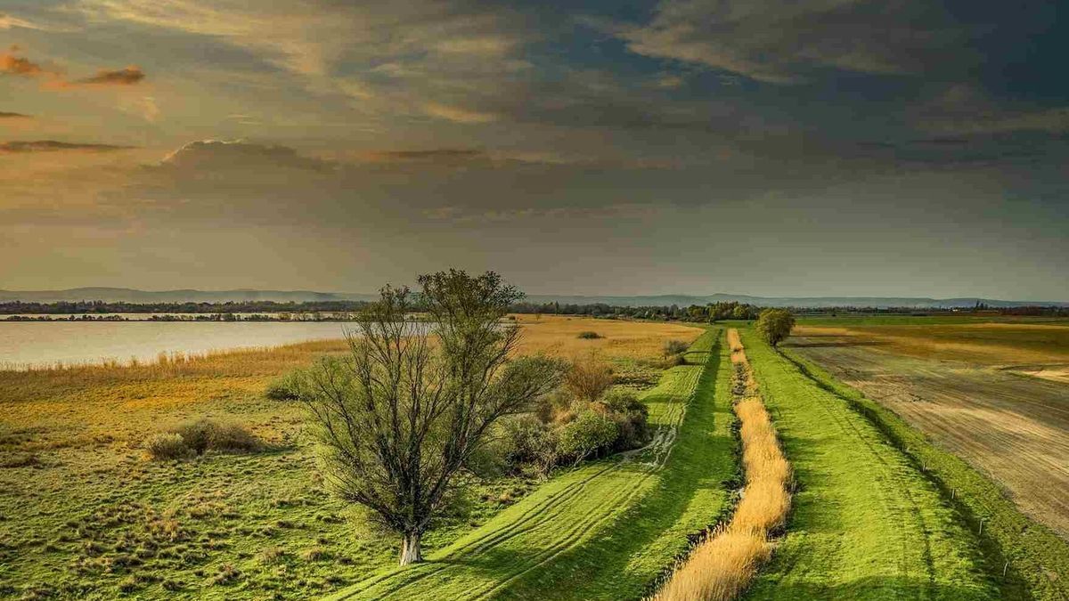 Magnyitotta kapuit a Balaton Bor Bár