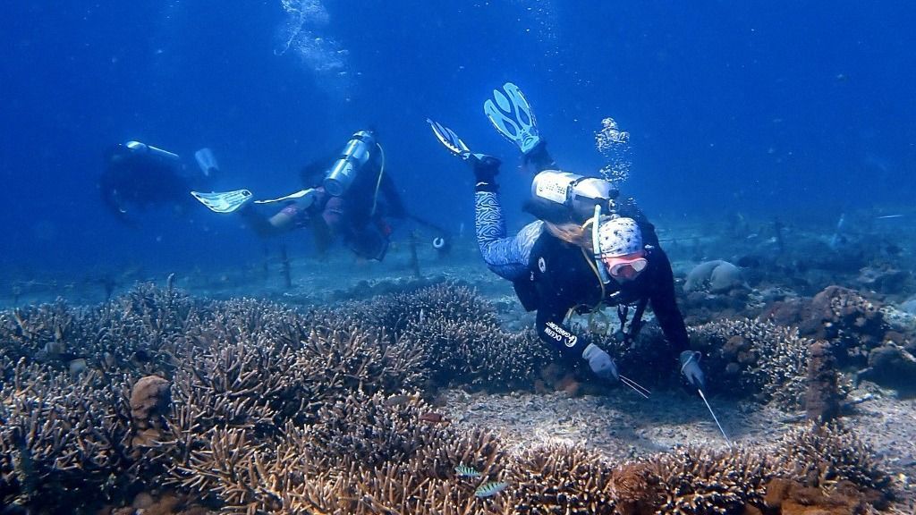 Reef Monitoring In Indonesia As One Of The World's Coral Triangle