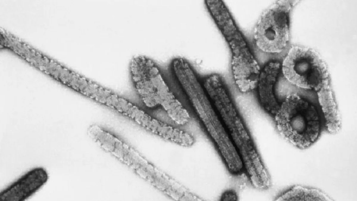 Már kilencen haltak meg az ebolánál is rosszabb vérzéses lázban