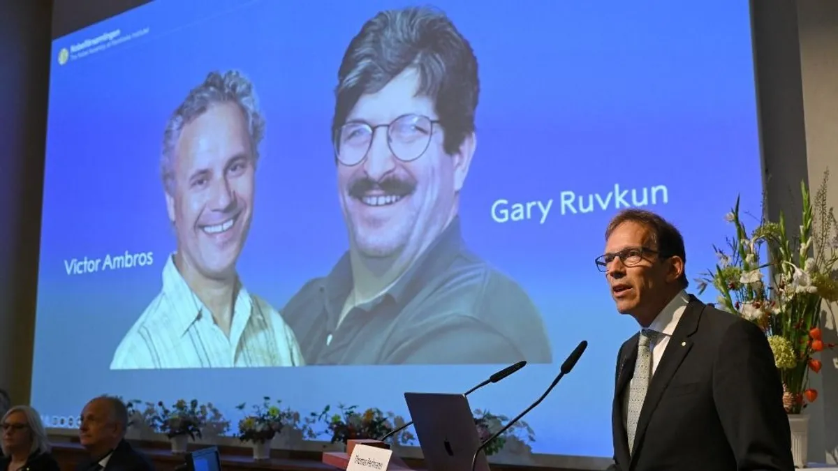 A mikro-RNS felfedezéséért járt az idei orvosi-élettani Nobel-díj