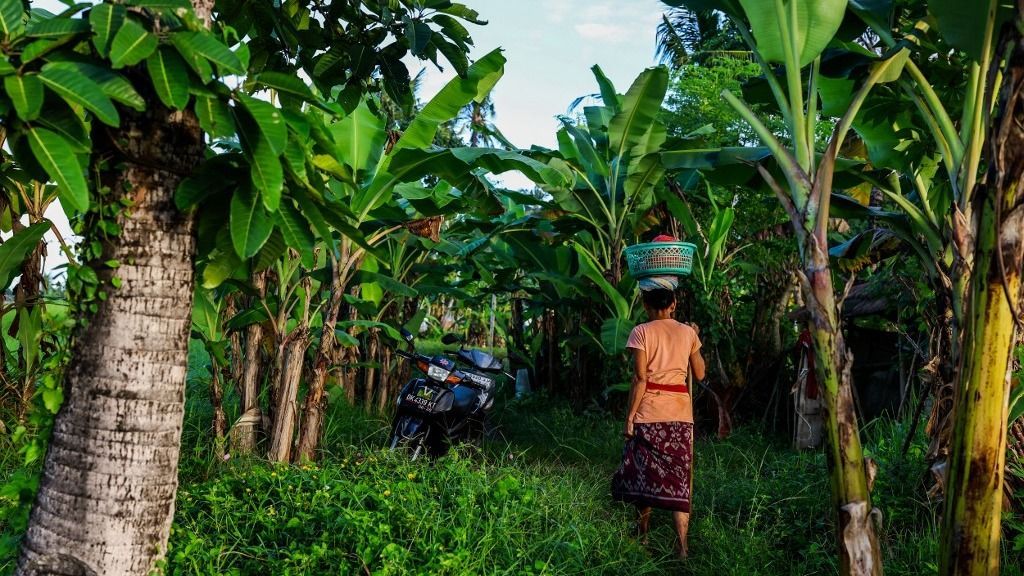 Living The Island Life In Bali, Indonesia