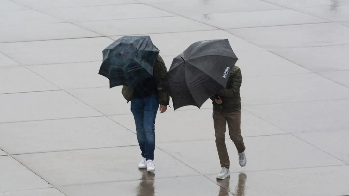 Rain In Cologne