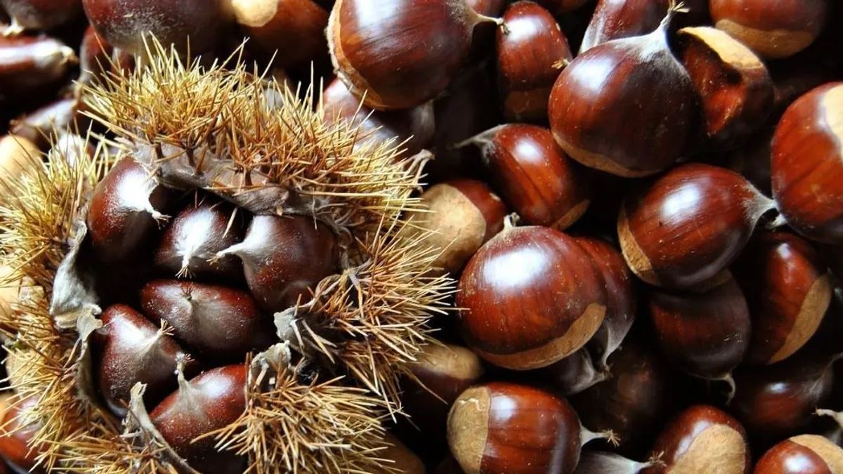 Így lehet gond nélkül megpucolni a gesztenyét