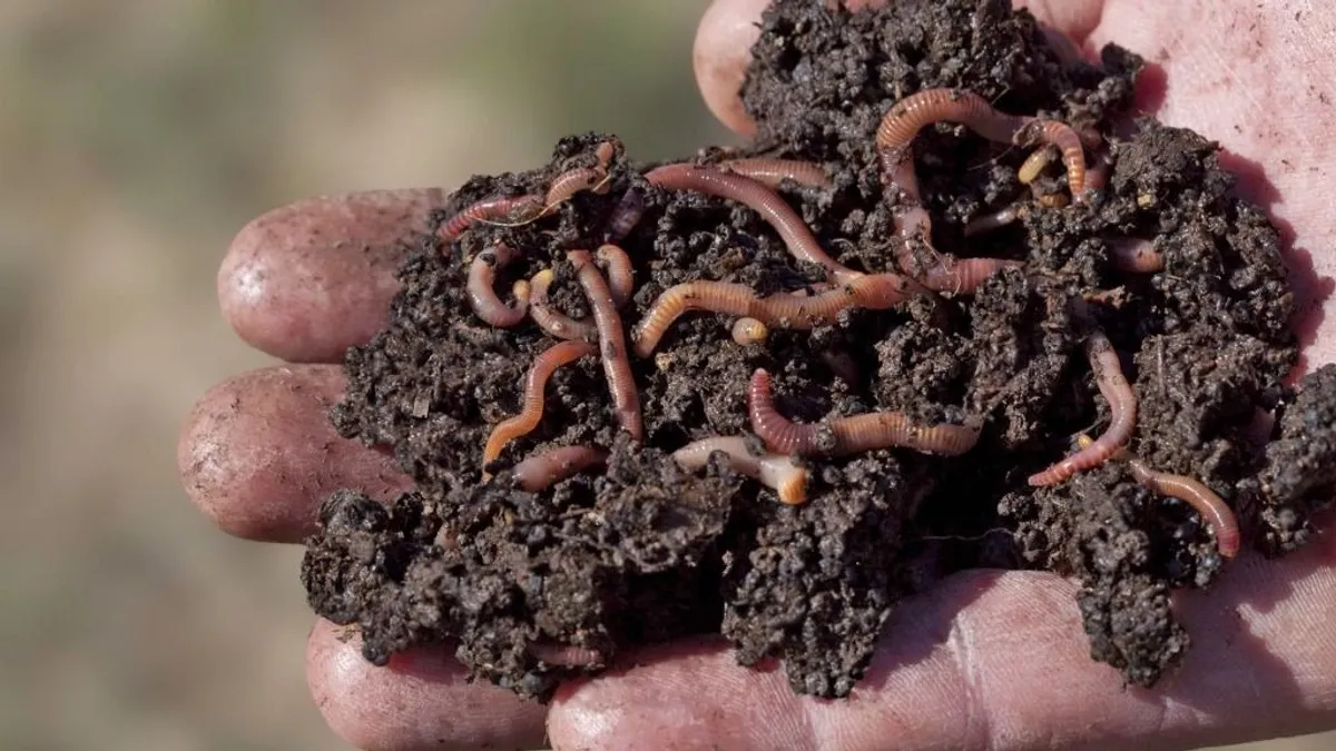 A bioalapú anyagok károsabbak a műanyagnál is