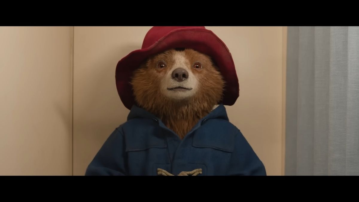 Paddington Peruban, Paddingtonmedve