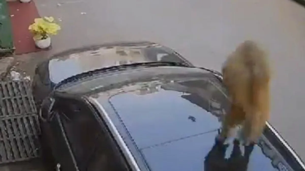 Egy lyukat talált a parkoló kocsija tetején, eléggé meglepődött, amikor megnézte ezt a videót