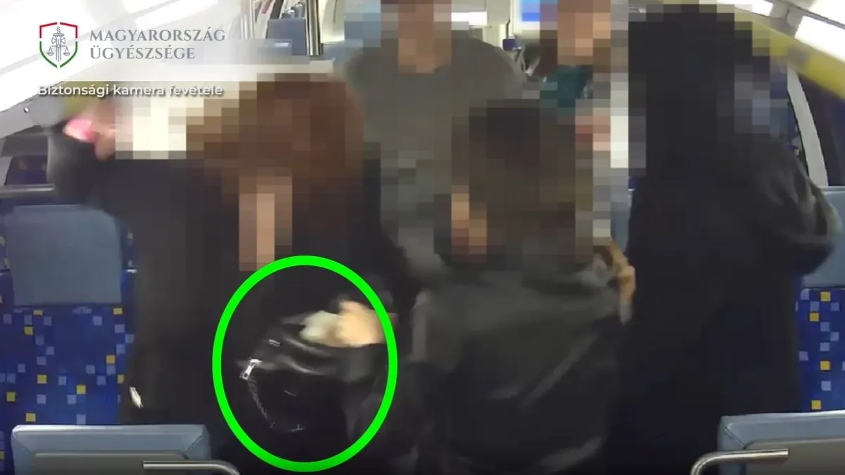 Váratlan meglepetés érte a táskatolvajokat egy vonaton - videó