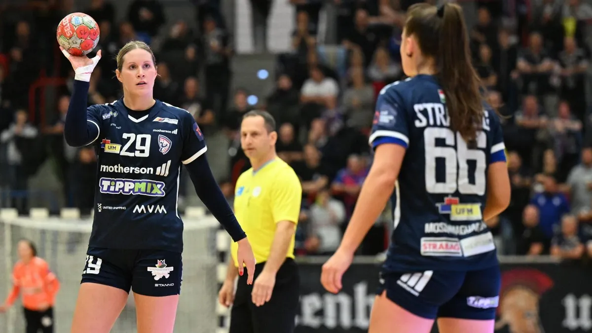 15 nap után lemondott az NB I-es kézicsapat elnöke