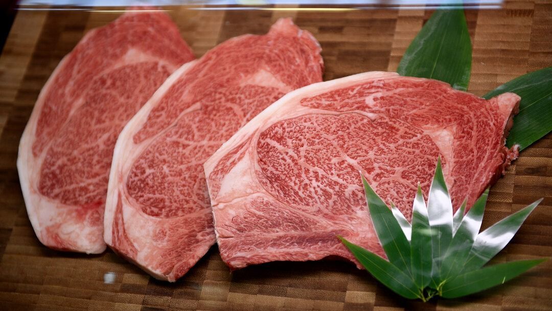 wagyu