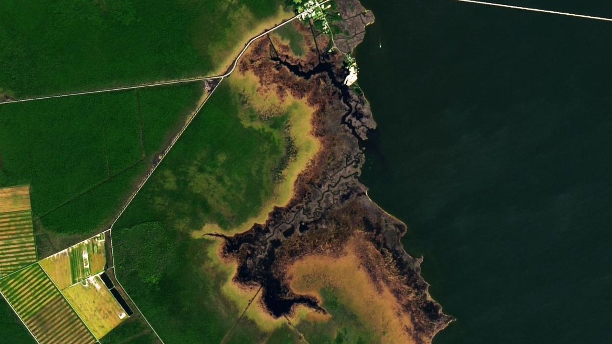 A Landsat műhold által készített felvételen jól megfigyelhető a szellemerdők drámai terjedése.