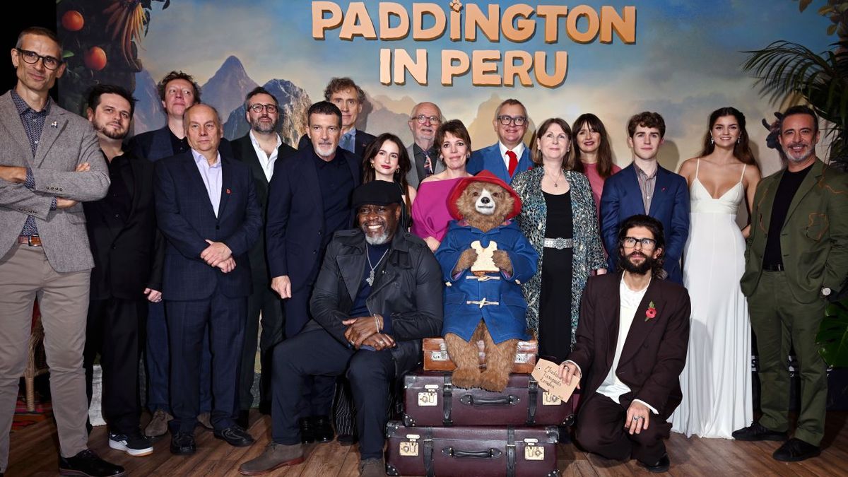 Paddington Peruban, Paddingtonmedve