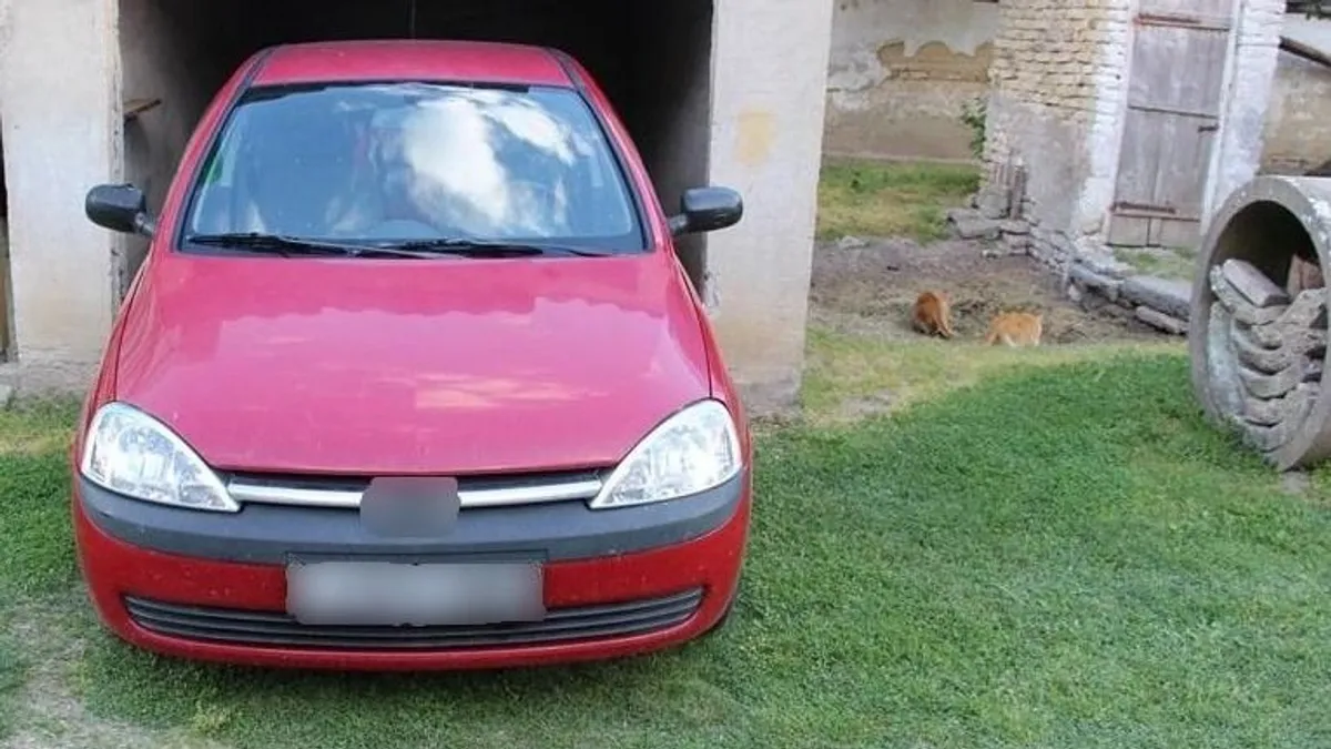 Elütötte 1 éves kislányát egy anya Jánoshalmán