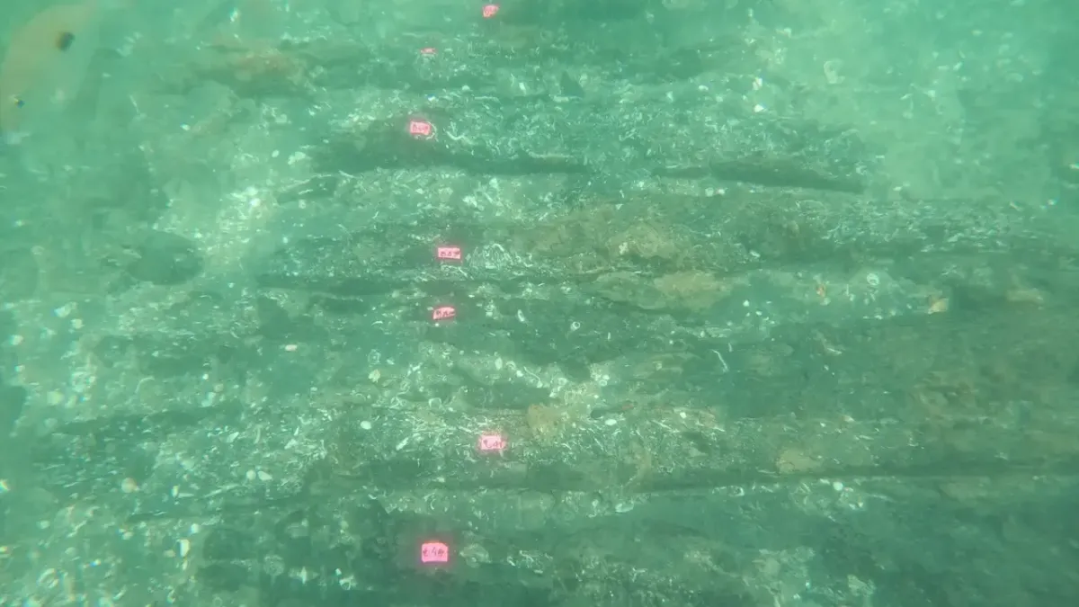A vízalatti régészek úgy vélik, hogy a roncs a  São Jorge, egy portugál hajó, ami 1524-ben süllyedt el Vasco da Gama utolsó, az Indiai-óceánhoz tartó útja során.