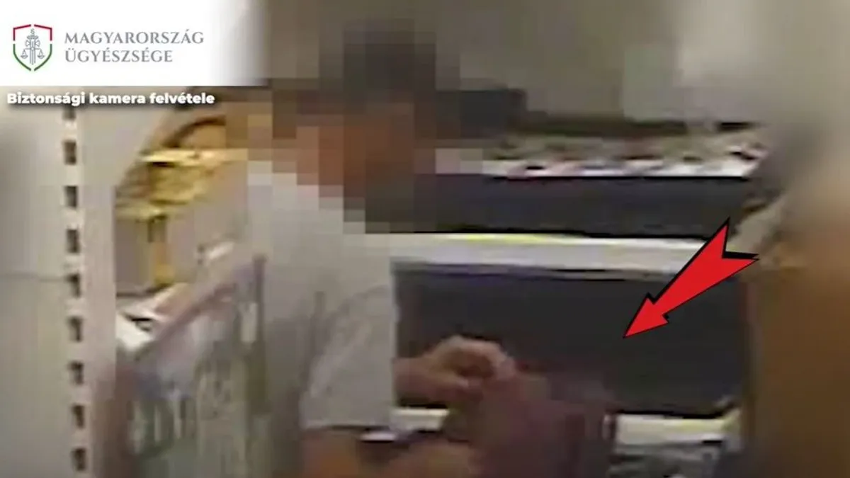 Amikor mindent ellopott, a bevásárlókocsit is el akarta vinni - videó