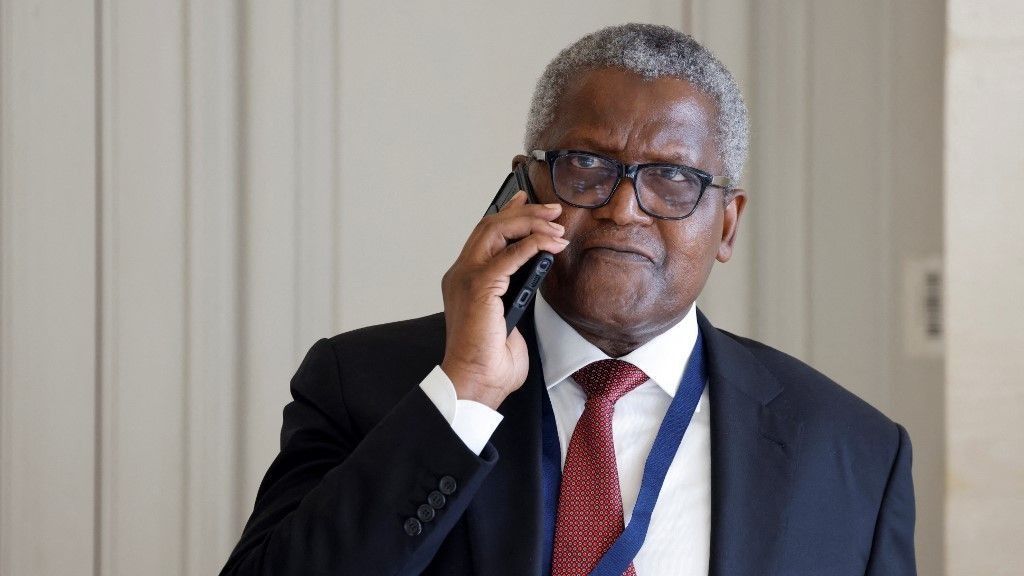 Aliko Dangote, Nigéria