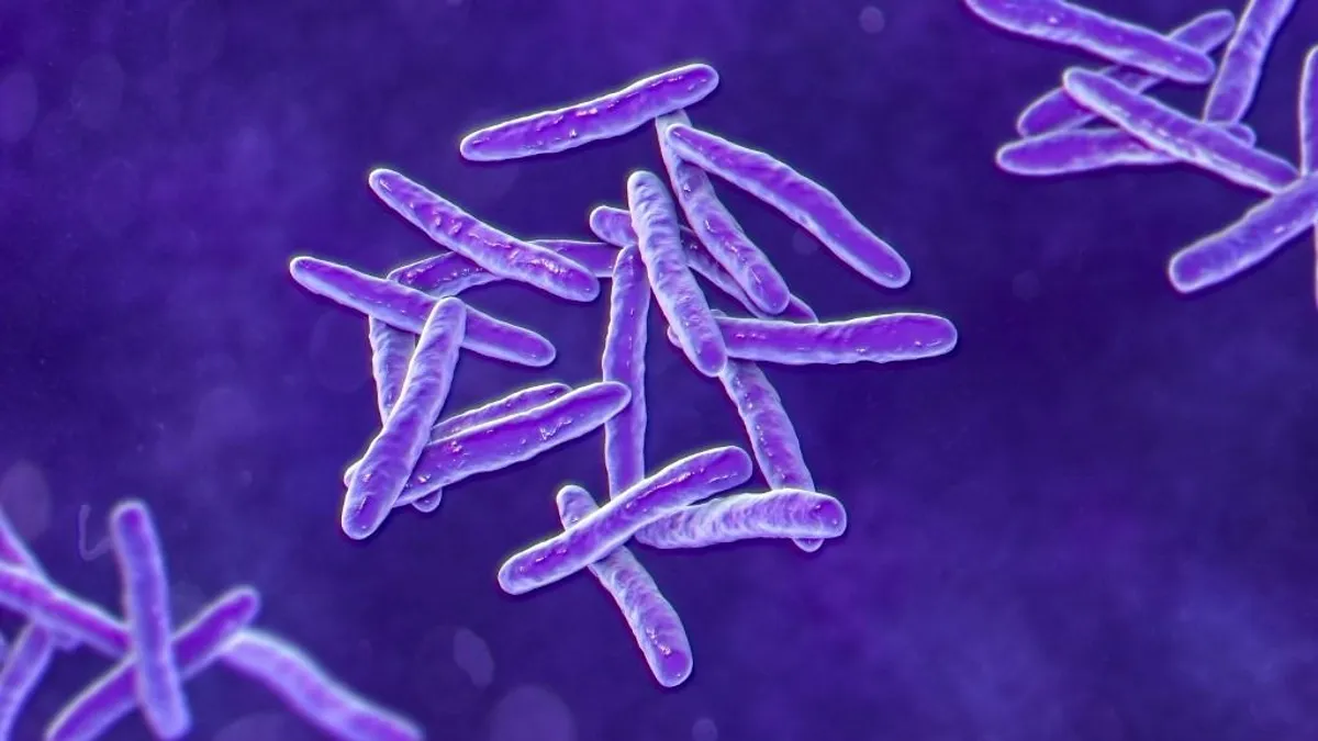 Az antibiotikum-rezisztens baktériumok gyenge pontja