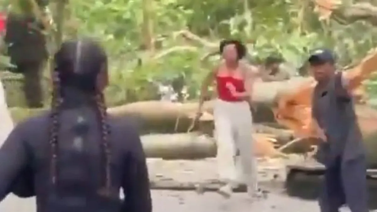 Két turista szörnyethalt Balin, miután rájuk dőlt egy fa - videó