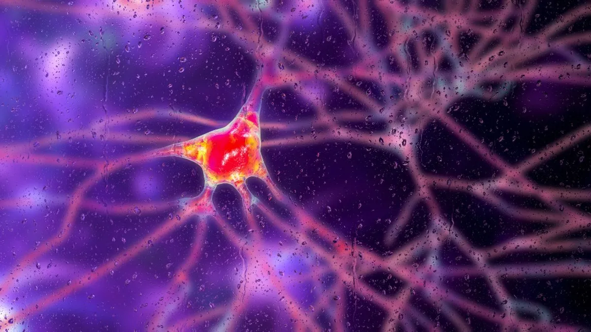 Bélflóra és Parkinson-kór: ez a vitamin a gyógyulás kulcsa