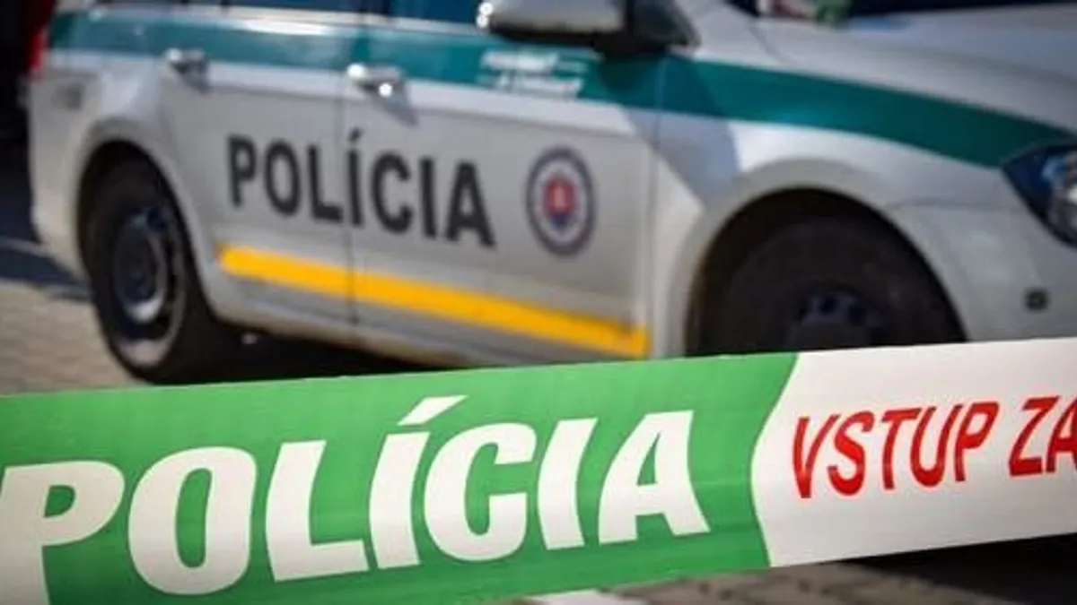Lehajtott az útról és kigyulladt egy autó, a sofőr bent égett