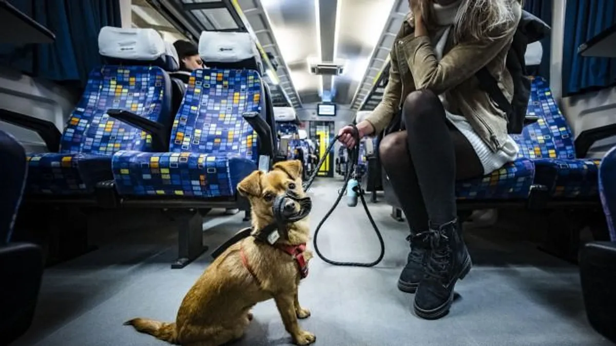 Januártól ingyenes a kutya- és kerékpárszállítás Budapesten a MÁV járatain