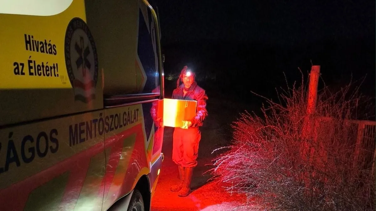 Kiskutyákat mentettek ki egy leégett házból a miskolci tűzoltók - videó
