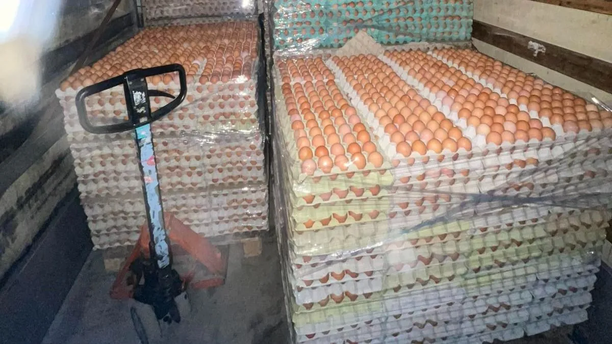 Több mint 60 ezer jelöletlen tojást foglaltak le a NAV szakemberei az M5-ösön