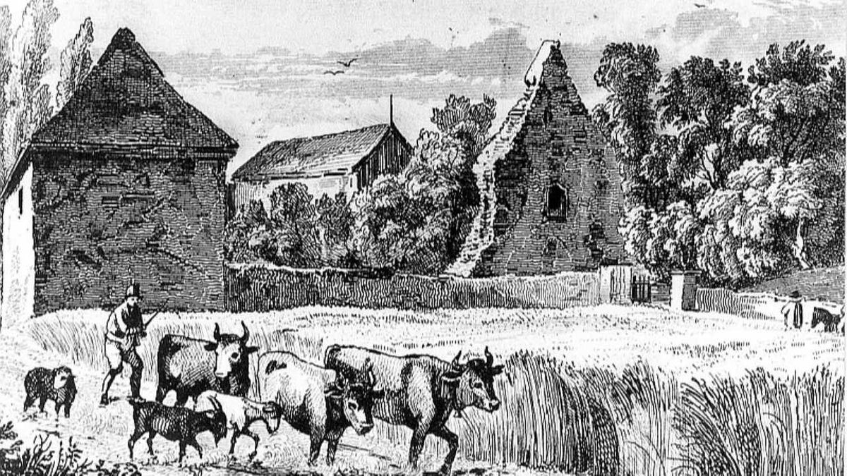 Lutherné